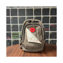 Load image into Gallery viewer, Traveling Medical Passport