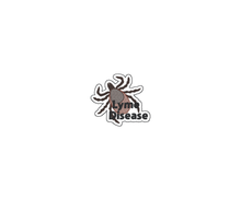 Load image into Gallery viewer, Lyme Disease Sticker – 2.5&quot; Medical Alert Decal - Set of 12
