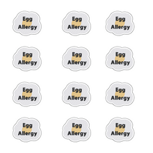 Load image into Gallery viewer, Egg  Allergy (Fried) Awareness Sticker – 2.5&quot; Medical Alert Decal - Set of 12
