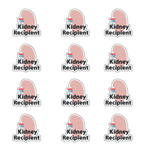 Load image into Gallery viewer, Kidney Recipient Sticker – 2.5&quot; Medical Alert Decal - Set of 12
