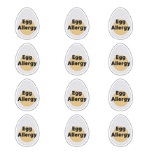 Load image into Gallery viewer, Egg  Allergy (Boiled) Awareness Sticker – 2.5&quot; Medical Alert Decal - Set of 12
